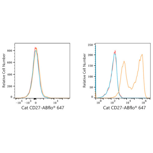 ABflo® 647 Rabbit anti-Cat CD27 mAb