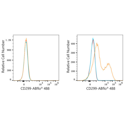 ABflo® 488 Rabbit anti-Human CD299/DC-SIGNR mAb