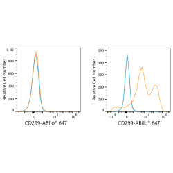 ABflo® 647 Rabbit anti-Human CD299/DC-SIGNR mAb