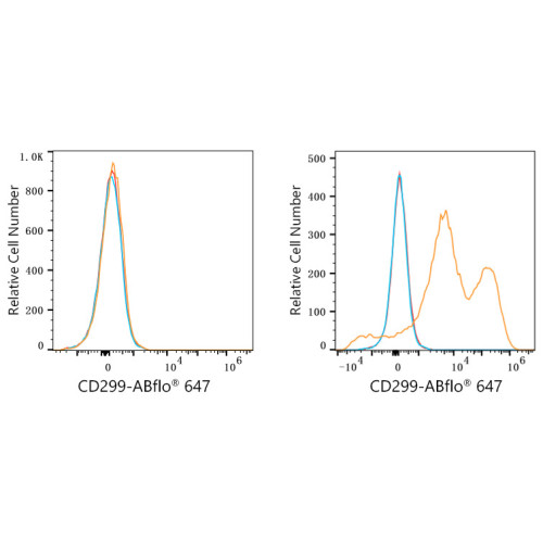 ABflo® 647 Rabbit anti-Human CD299/DC-SIGNR mAb