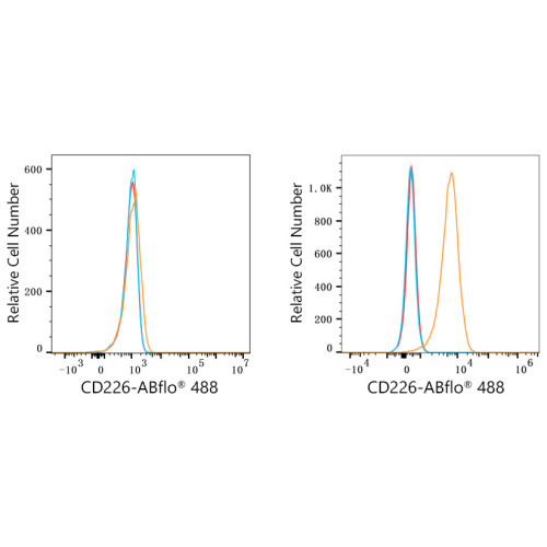 ABflo® 488 Rabbit anti-Human CD226/DNAM-1 mAb