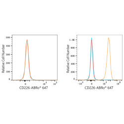 ABflo® 647 Rabbit anti-Human CD226/DNAM-1 mAb