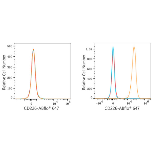 ABflo® 647 Rabbit anti-Human CD226/DNAM-1 mAb