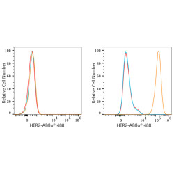 ABflo® 488 Rabbit anti-Human HER2/ErbB2 mAb