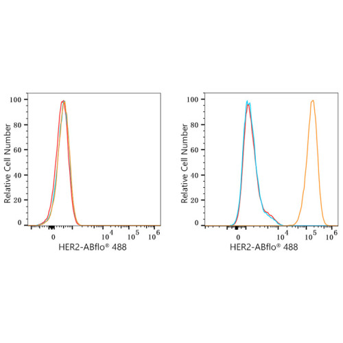 ABflo® 488 Rabbit anti-Human HER2/ErbB2 mAb