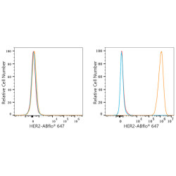 ABflo® 647 Rabbit anti-Human HER2/ErbB2 mAb