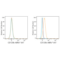 ABflo® 647 Rabbit anti-Human CD120b/TNFRSF1B mAb
