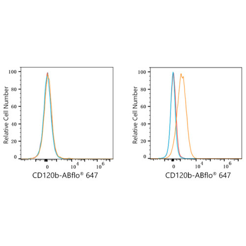 ABflo® 647 Rabbit anti-Human CD120b/TNFRSF1B mAb
