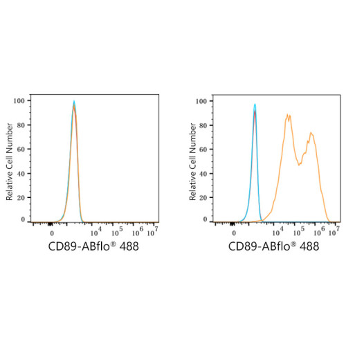 ABflo® 488 Rabbit anti-Human CD89 mAb