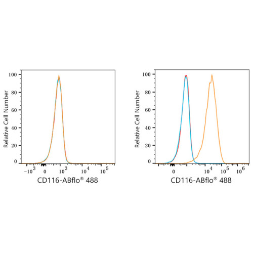 ABflo® 488 Rabbit anti-Human CD116 mAb