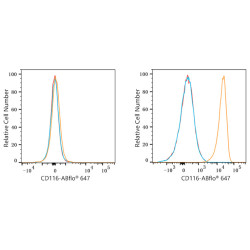 ABflo® 647 Rabbit anti-Human CD116 mAb