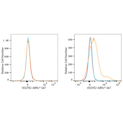 ABflo® 647 Rabbit anti-Human CD309/VEGFR2 mAb