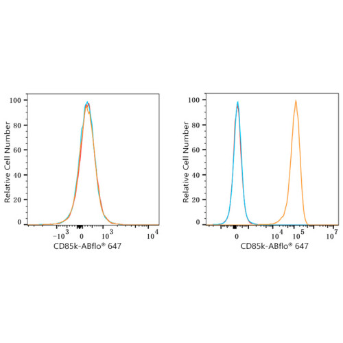 ABflo® 647 Rabbit anti-Human CD85k/ILT3 mAb