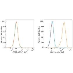 ABflo® 647 Rabbit anti-Human CD22 mAb