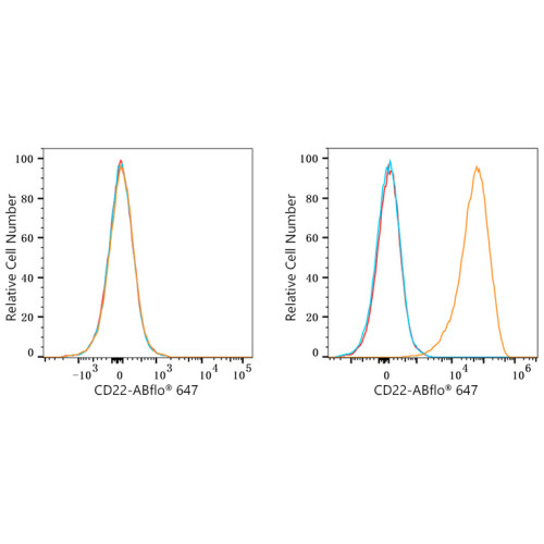 ABflo® 647 Rabbit anti-Human CD22 mAb