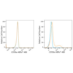 ABflo® 488 Rabbit anti-Mouse CD59a mAb