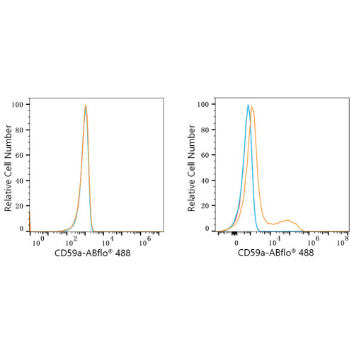ABflo® 488 Rabbit anti-Mouse CD59a mAb