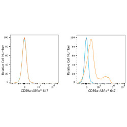 ABflo® 647 Rabbit anti-Mouse CD59a mAb