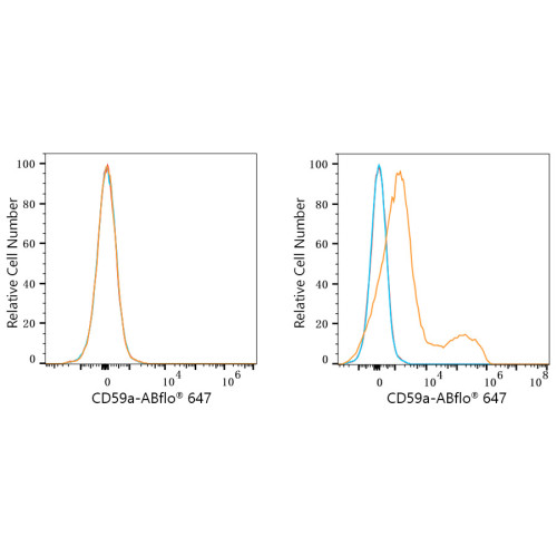 ABflo® 647 Rabbit anti-Mouse CD59a mAb