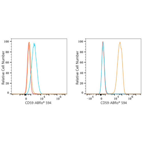 ABflo® 594 Rabbit anti-Human CD59 mAb