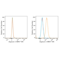 ABflo® 594 Rabbit anti-Human Glypican 3/GPC3 mAb