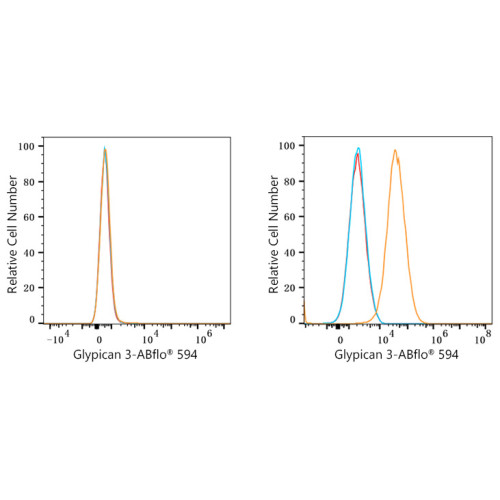 ABflo® 594 Rabbit anti-Human Glypican 3/GPC3 mAb