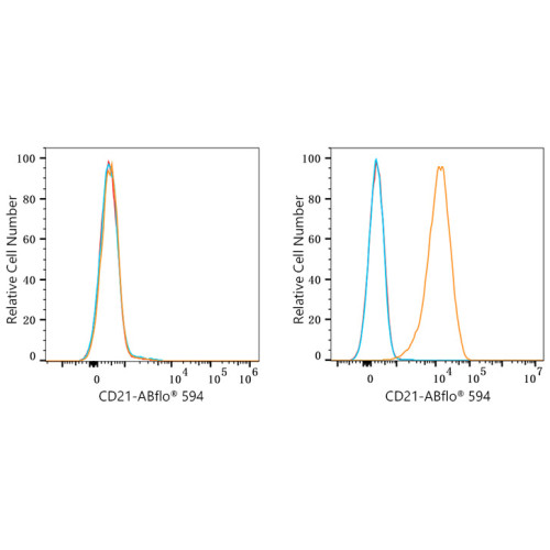 ABflo® 594 Rabbit anti-Human CD21/CR2 mAb