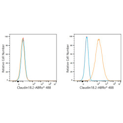 ABflo® 488 Rabbit anti-Human Claudin18.2 mAb