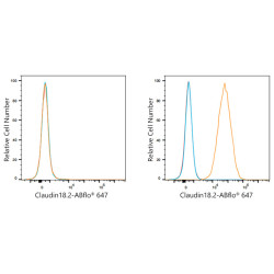 ABflo® 647 Rabbit anti-Human Claudin18.2 mAb