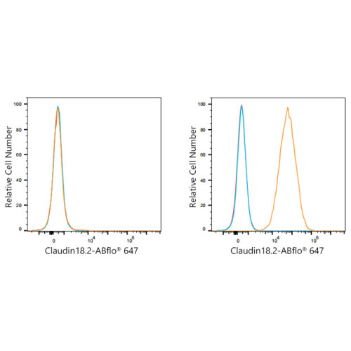 ABflo® 647 Rabbit anti-Human Claudin18.2 mAb