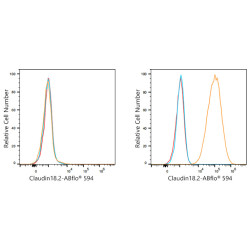 ABflo® 594 Rabbit anti-Human Claudin18.2 mAb