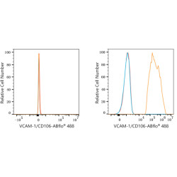 ABflo® 488 Rabbit anti-Human CD106/VCAM-1 mAb