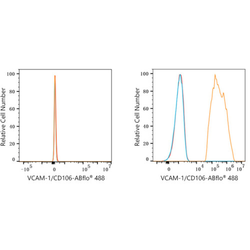 ABflo® 488 Rabbit anti-Human CD106/VCAM-1 mAb