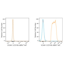 ABflo® 647 Rabbit anti-Human CD106/VCAM-1 mAb