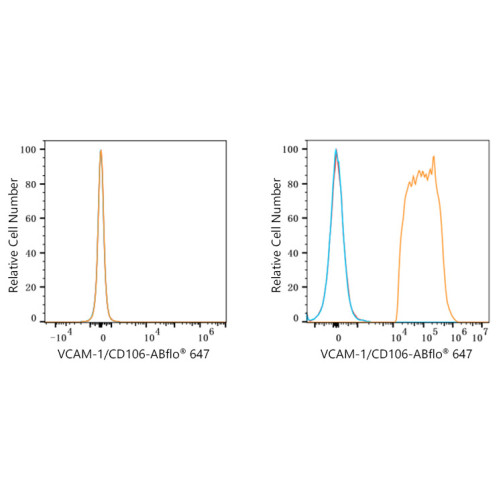 ABflo® 647 Rabbit anti-Human CD106/VCAM-1 mAb