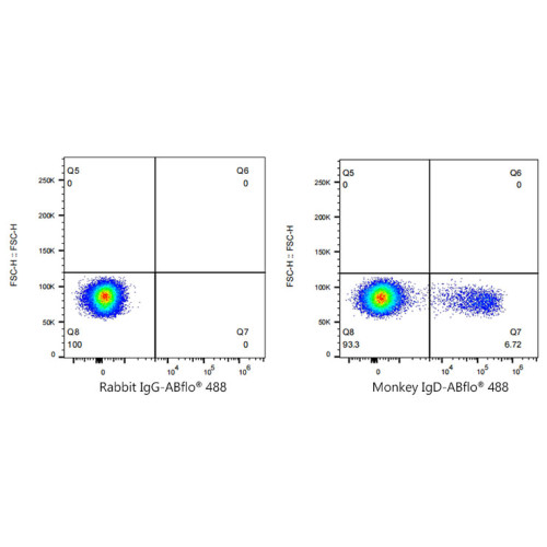 ABflo® 488 Rabbit anti-NHP IgD mAb