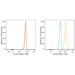 ABflo® 488 Rabbit anti-Human CD28 mAb