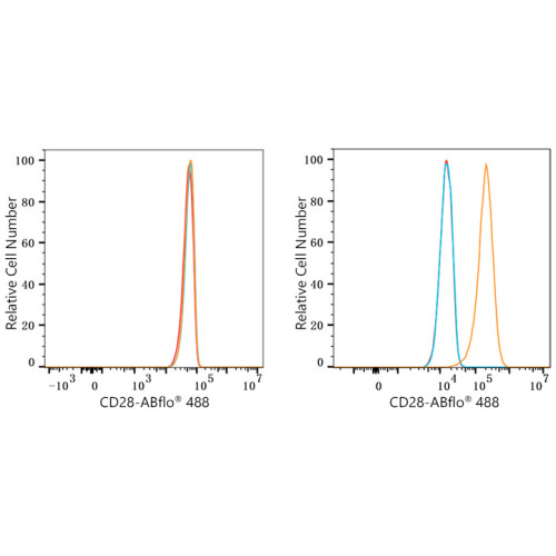 ABflo® 488 Rabbit anti-Human CD28 mAb