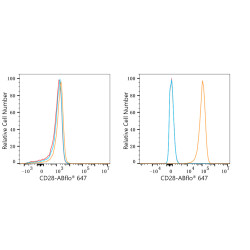 ABflo® 647 Rabbit anti-Human CD28 mAb