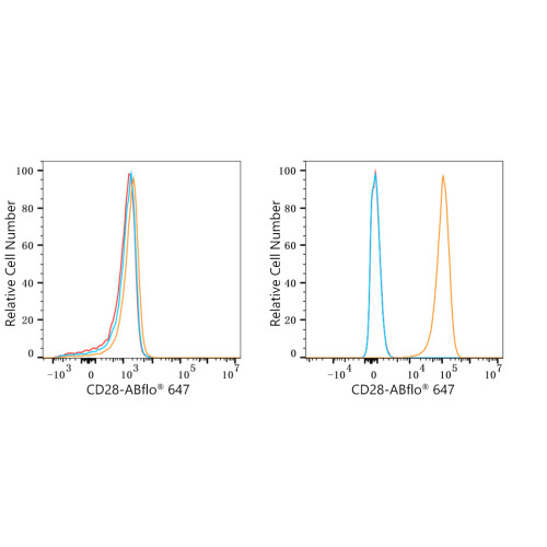 ABflo® 647 Rabbit anti-Human CD28 mAb