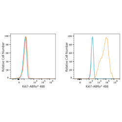 ABflo® 488 Rabbit anti-Human/Monkey Ki67 mAb