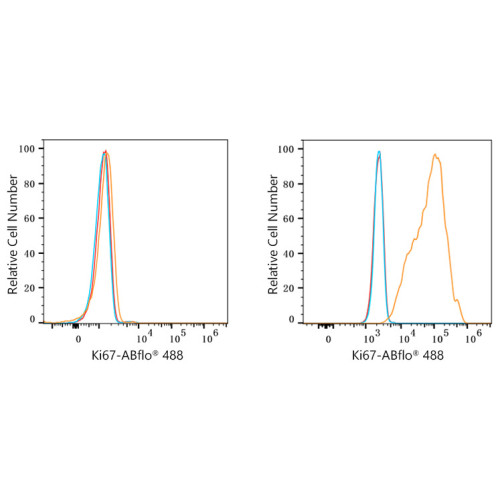 ABflo® 488 Rabbit anti-Human/Monkey Ki67 mAb