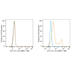 ABflo® 488 Rabbit anti-Mouse CD117/c-Kit mAb