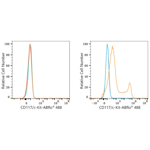 ABflo® 488 Rabbit anti-Mouse CD117/c-Kit mAb
