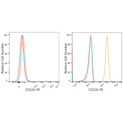 PE Rabbit anti-Human CD226/DNAM-1 mAb