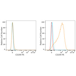 PE Rabbit anti-Human CD209/DC-SIGN mAb