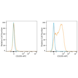 APC Rabbit anti-Human CD209/DC-SIGN mAb
