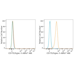 ABflo® 488 Rabbit anti-Human CD170/Siglec-5 mAb