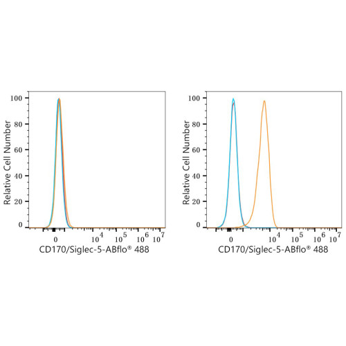 ABflo® 488 Rabbit anti-Human CD170/Siglec-5 mAb