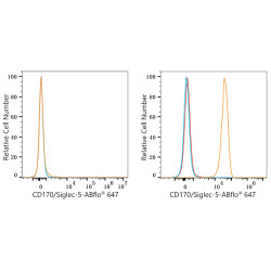 ABflo® 647 Rabbit anti-Human CD170/Siglec-5 mAb